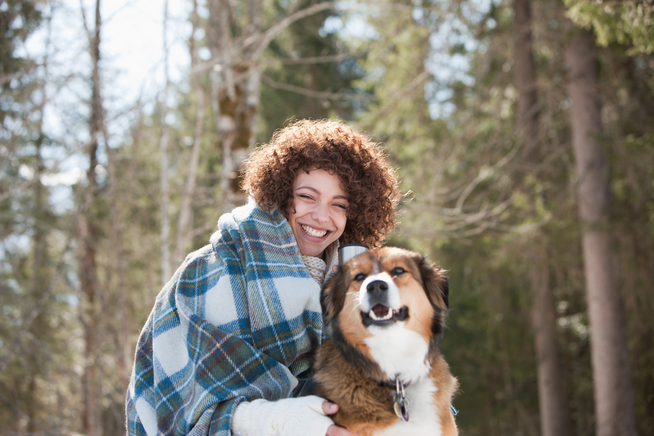 Winter pet dental care.