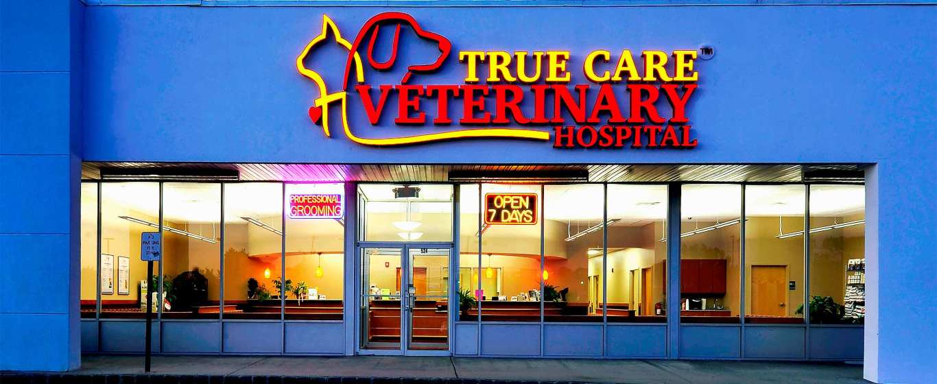 TrueCare Urgent Care – True care when you need it